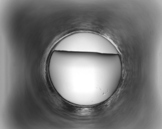X0000096460151200801241125