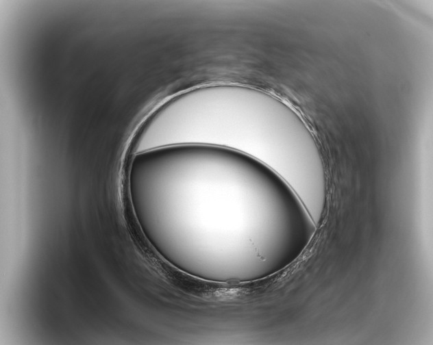 X0000096460152200801241125