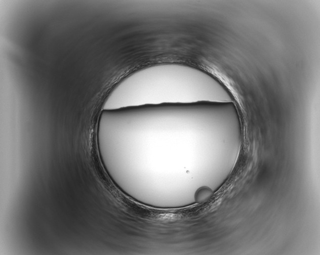 X0000096460153200801241125