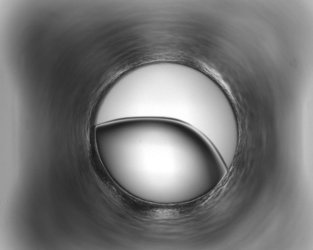 X0000096460154200801241125