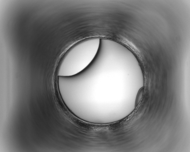 X0000096460155200801241125