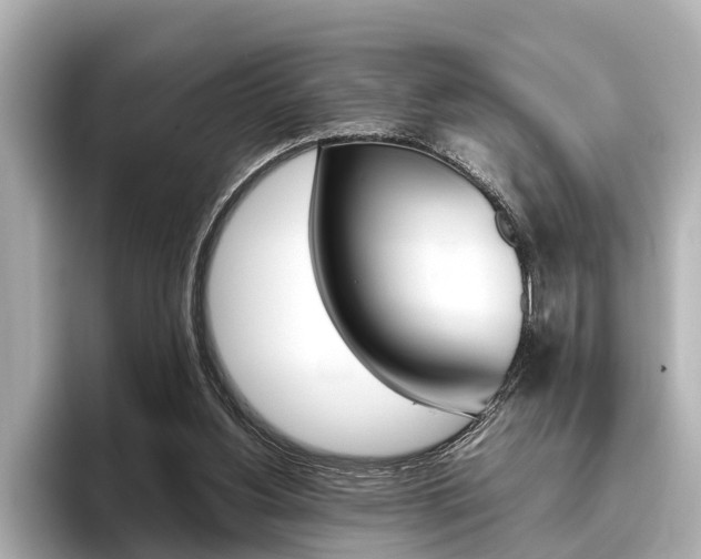 X0000096460156200801241125