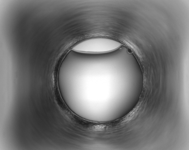 X0000096460158200801241125