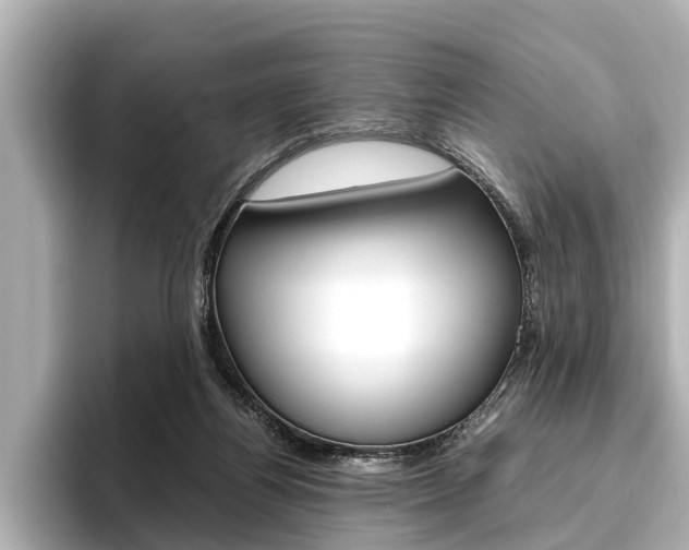 X0000096460164200801241125