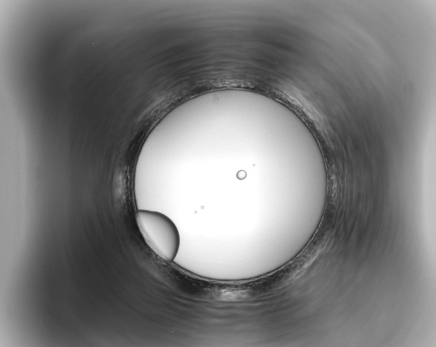 X0000096460165200801241125