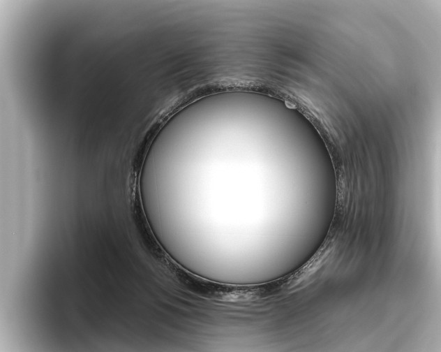 X0000096460168200801241125