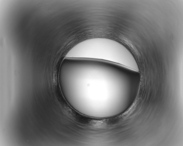 X0000096460170200801241125