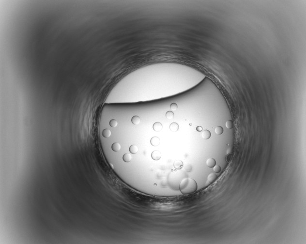 X0000096460171200801241125