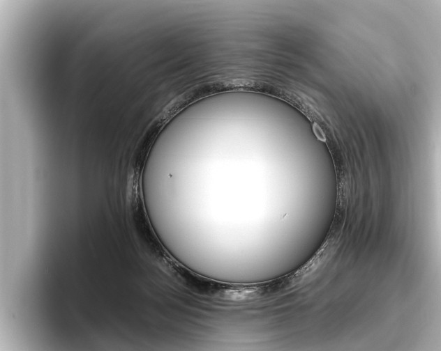 X0000096460172200801241125