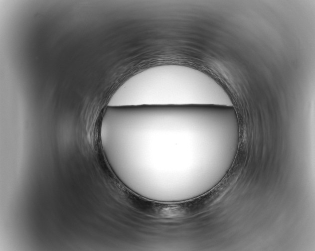 X0000096460173200801241125
