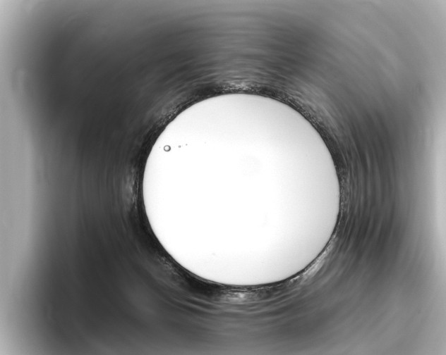 X0000096460174200801241125