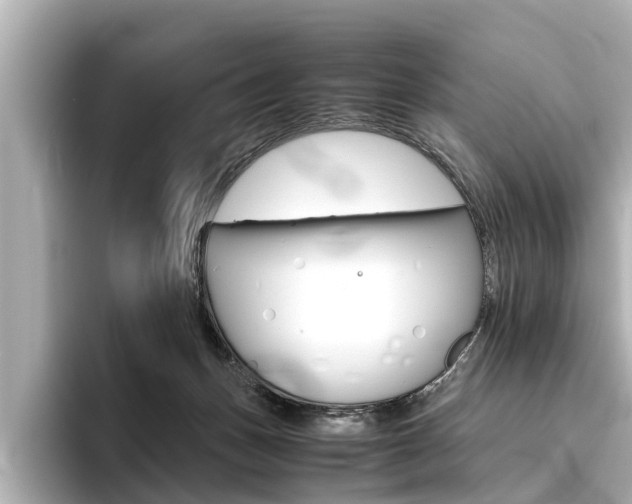 X0000096460175200801241125