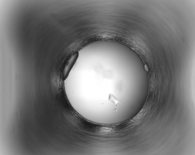 X0000096460176200801241125