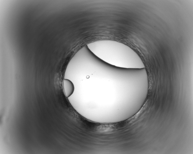 X0000096460179200801241125