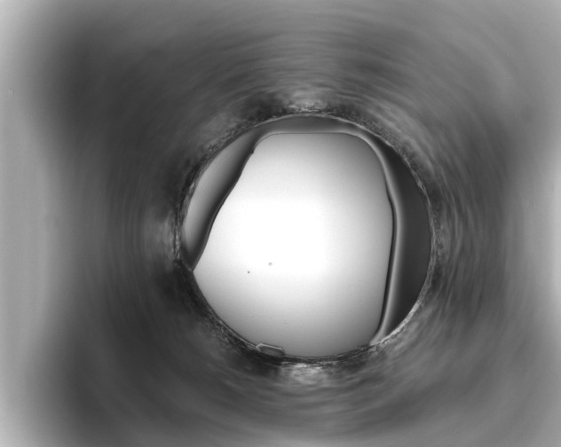 X0000096460180200801241125