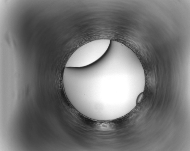 X0000096460181200801241125