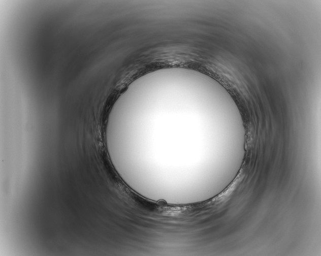 X0000096460182200801241125