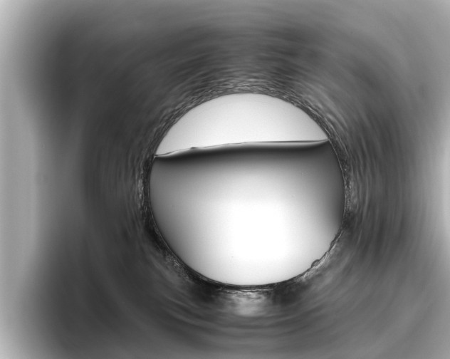 X0000096460183200801241125