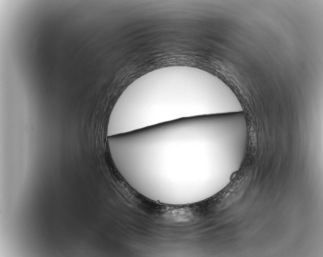 X0000096460185200801241125
