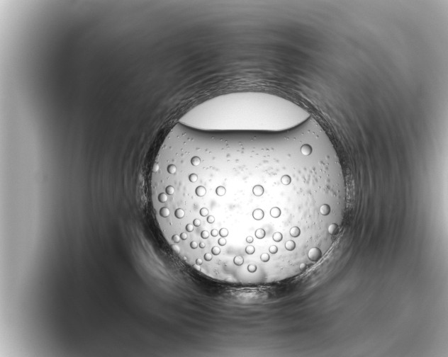 X0000096460187200801241125