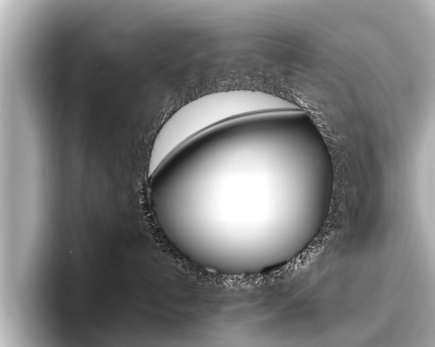 X0000096460192200801241125