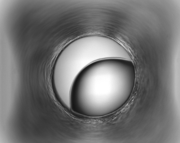 X0000096460193200801241125