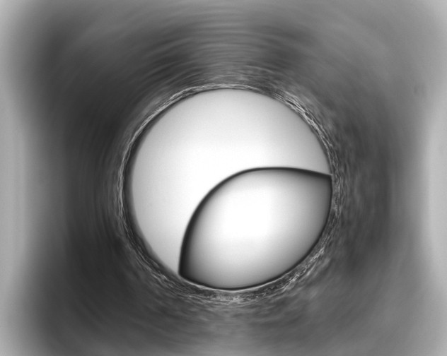X0000096460194200801241125