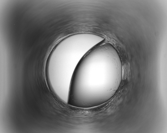 X0000096460195200801241125