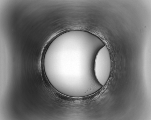 X0000096460196200801241125