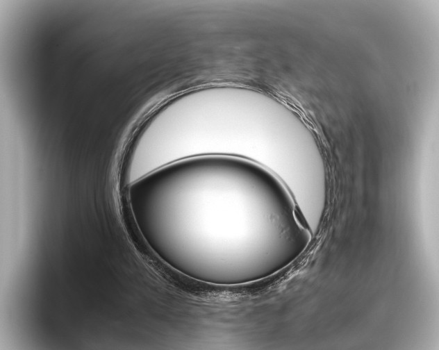 X0000096460197200801241125
