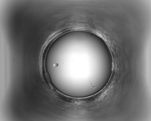X0000096460199200801241125
