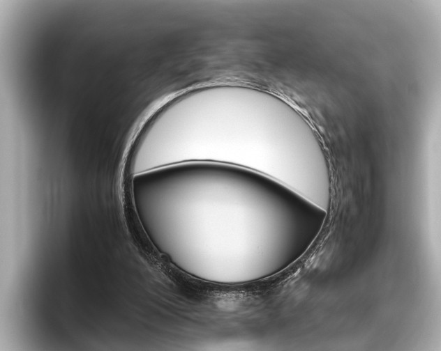 X0000096460200200801241125