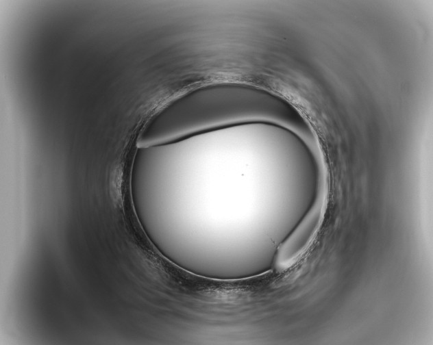 X0000096460201200801241125