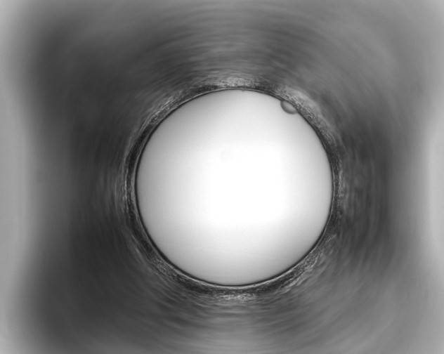 X0000096460202200801241125