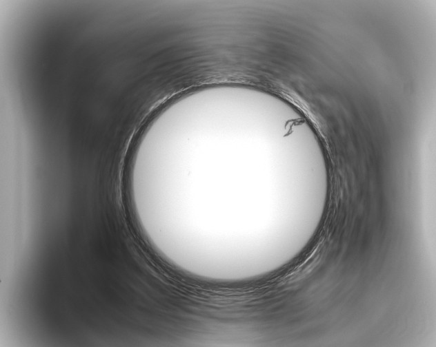 X0000096460203200801241125