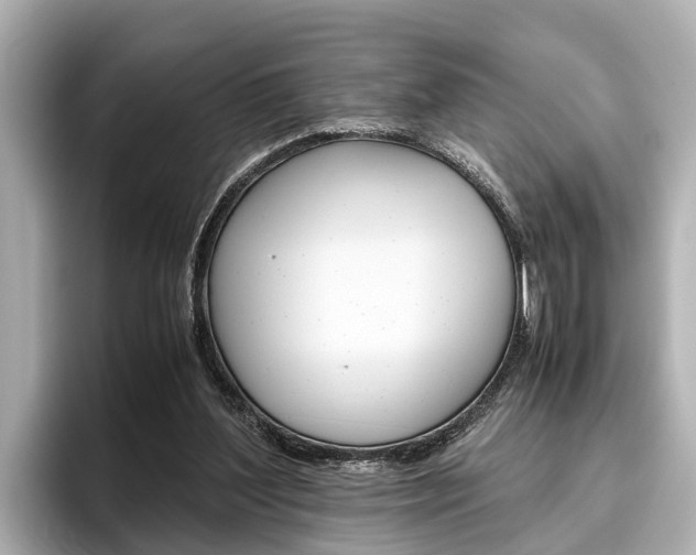 X0000096460204200801241125