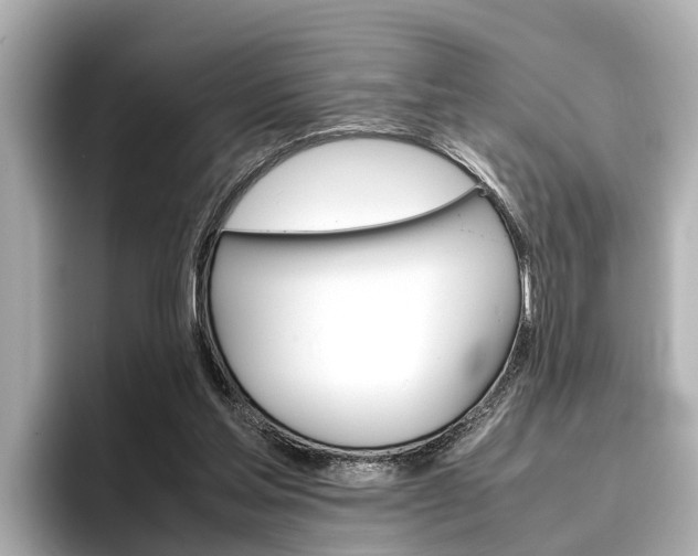 X0000096460205200801241125