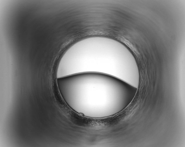 X0000096460207200801241124