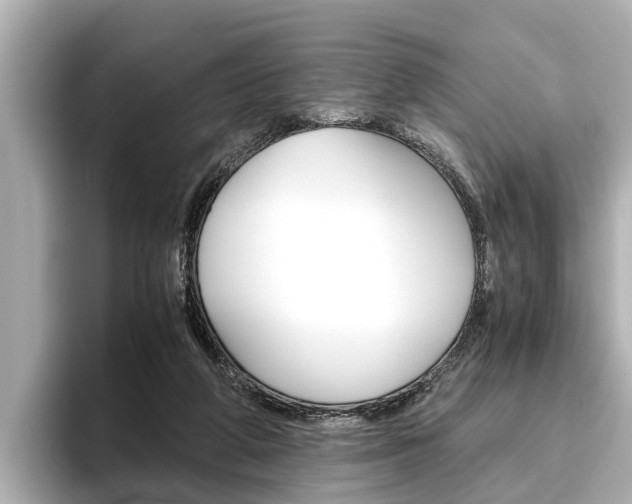 X0000096460210200801241124