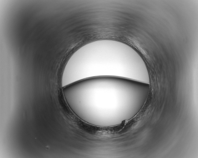 X0000096460211200801241124