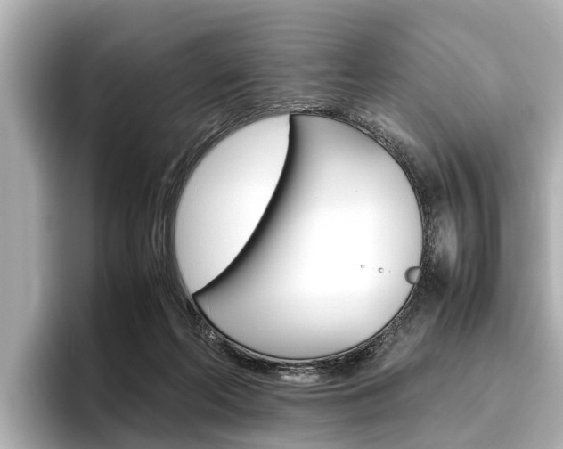 X0000096460214200801241124