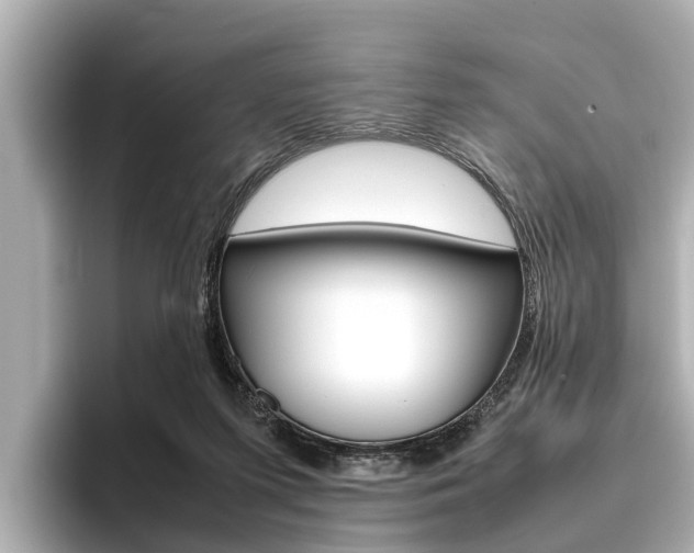 X0000096460215200801241124