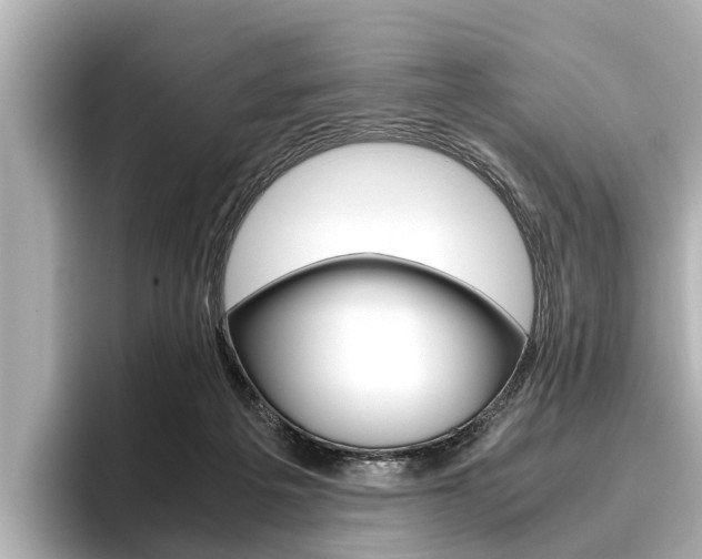 X0000096460217200801241124