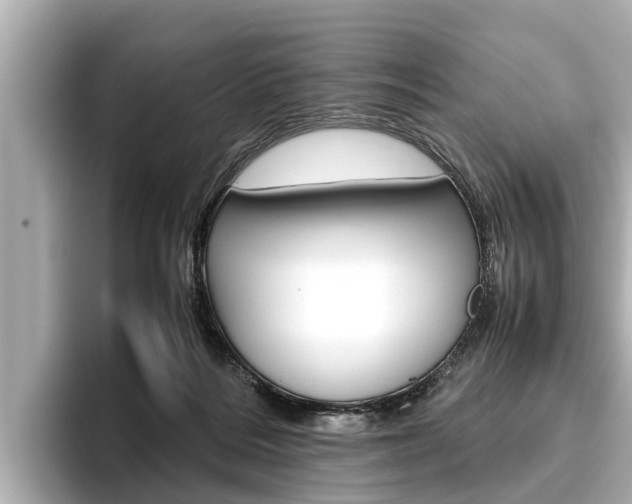 X0000096460220200801241124