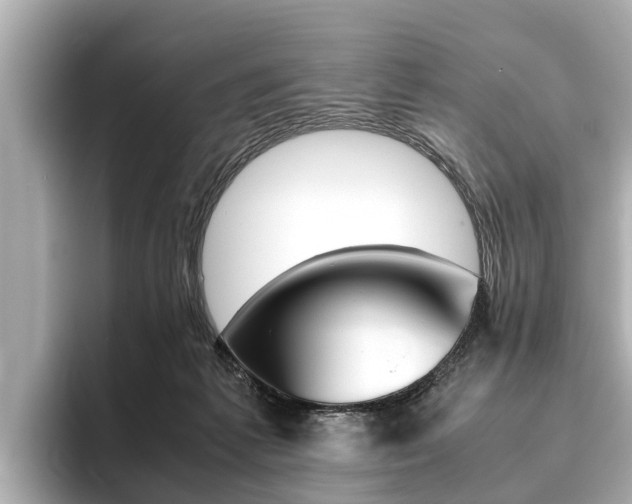 X0000096460221200801241124
