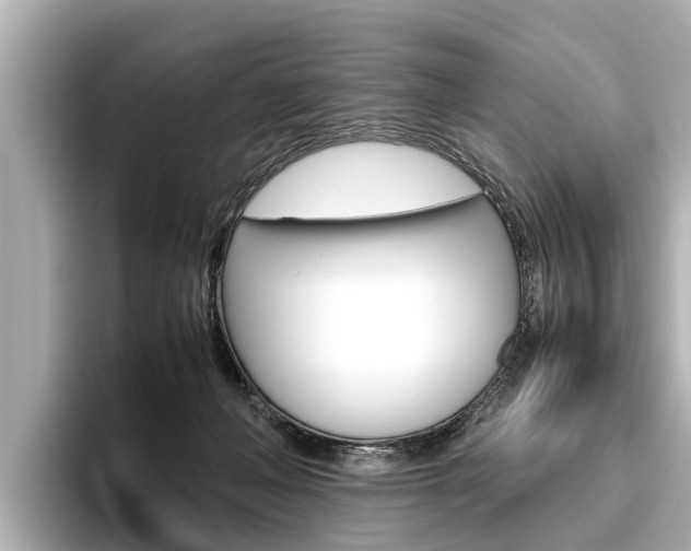 X0000096460222200801241124