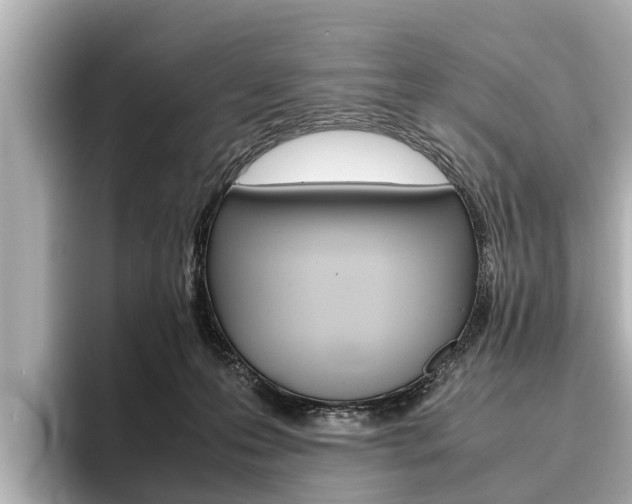 X0000096460223200801241124