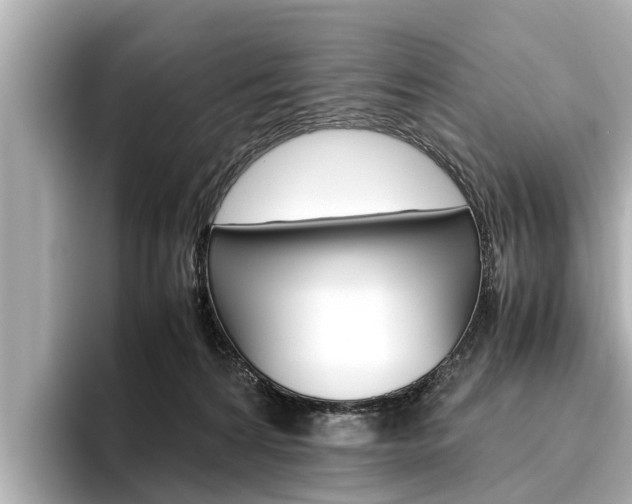 X0000096460224200801241124