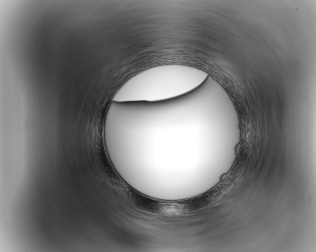 X0000096460226200801241124