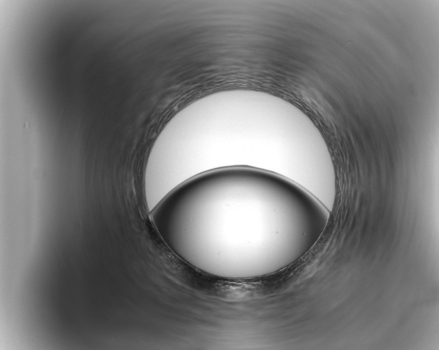 X0000096460229200801241124